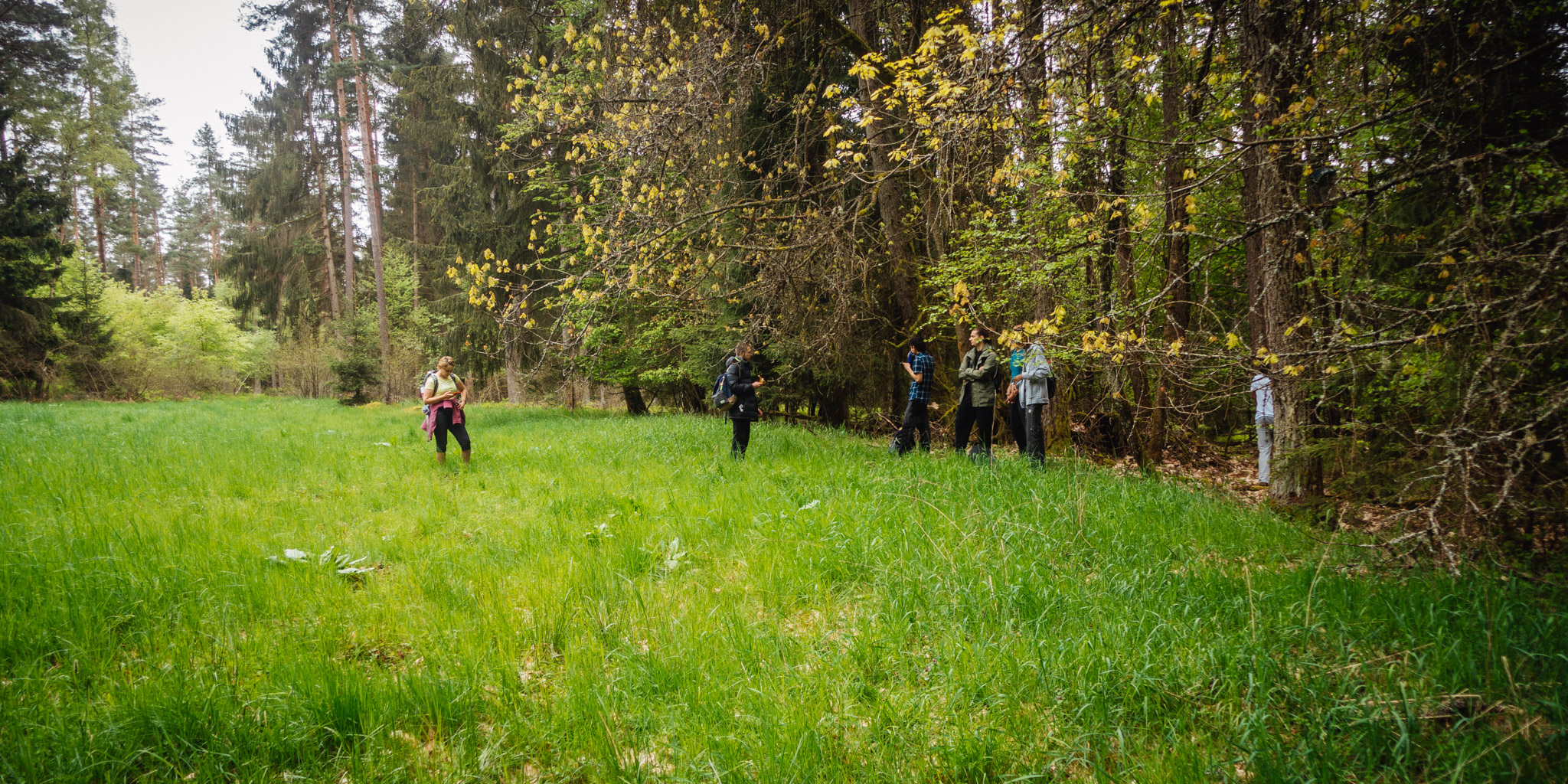 2023-05-14 Schnabelwaid-0085