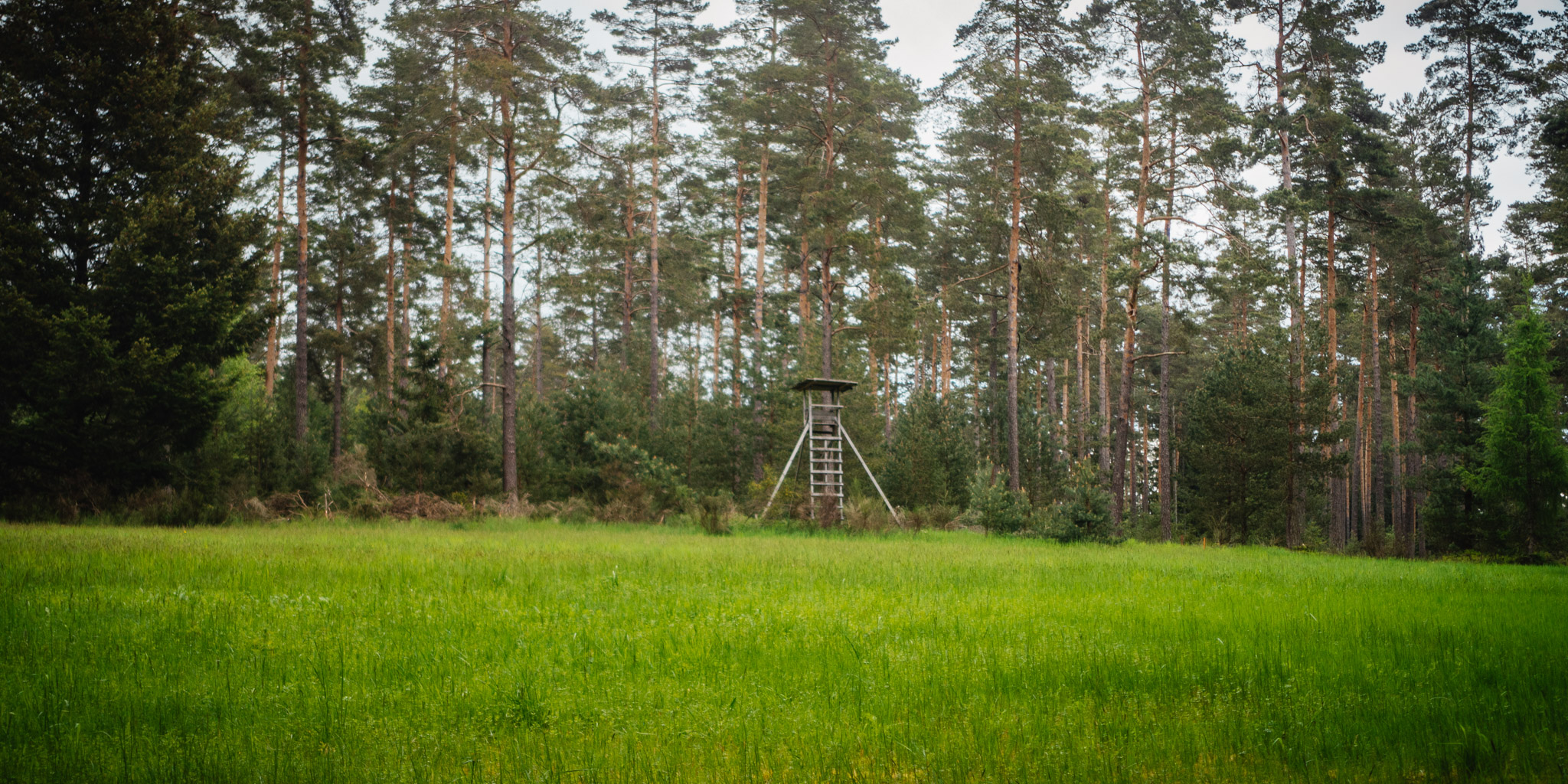 2023-05-14 Schnabelwaid-0089