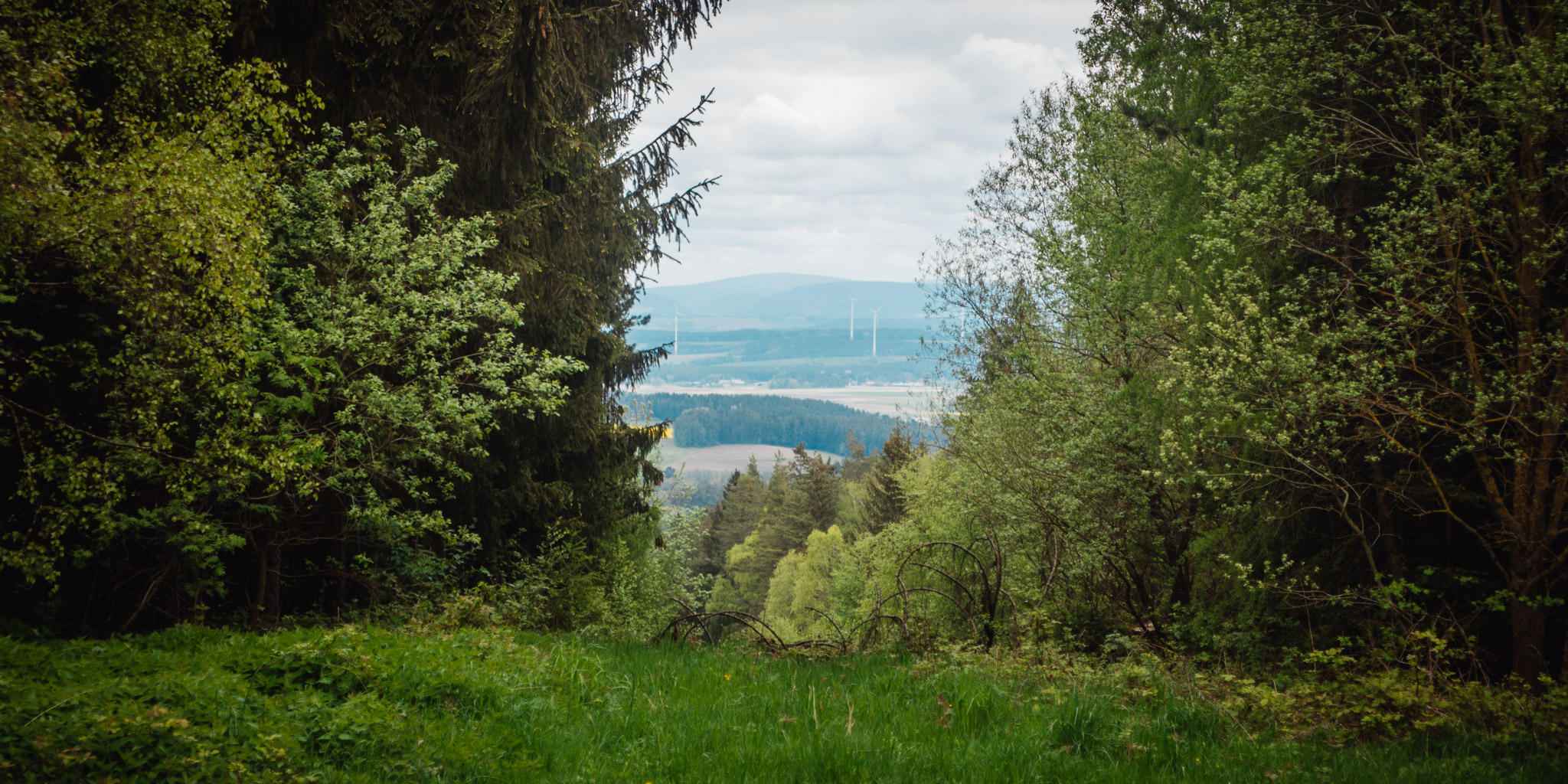2023-05-14 Schnabelwaid-0191