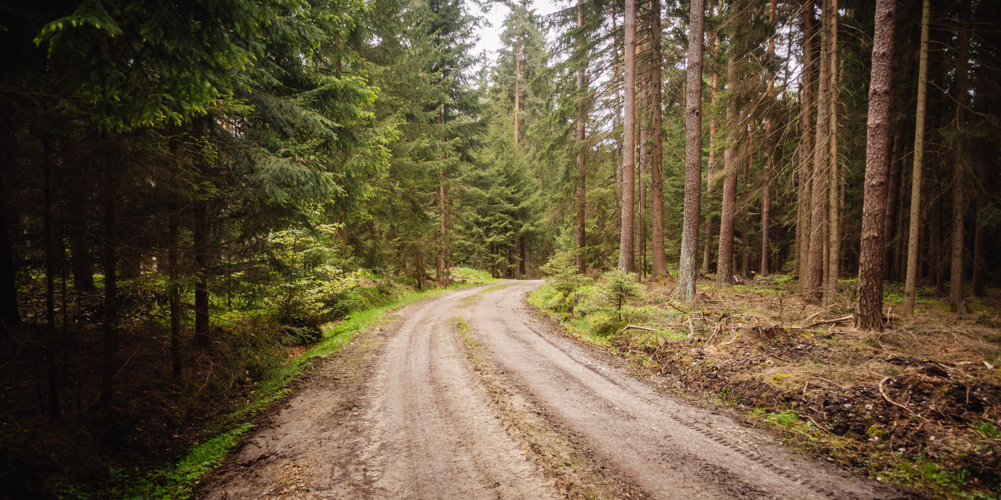2023-05-14 Schnabelwaid-0362
