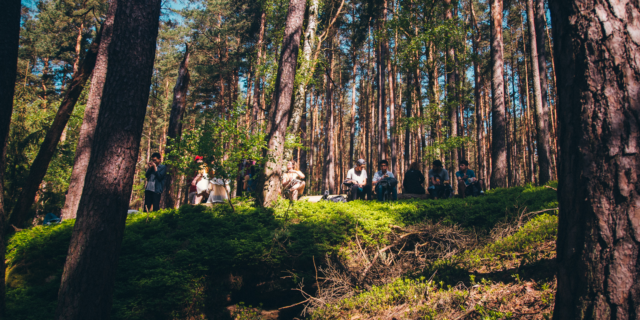 2018-04-29 Blueberry Forest-6606