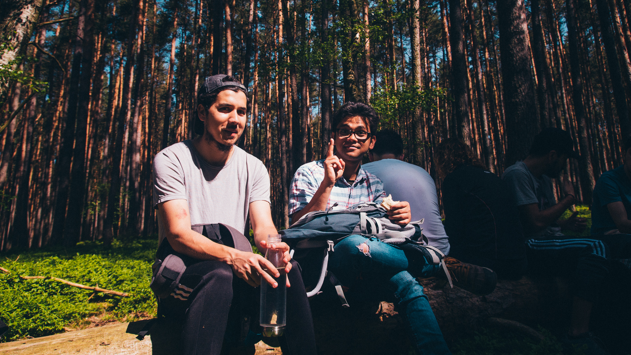 2018-04-29 Blueberry Forest-6614