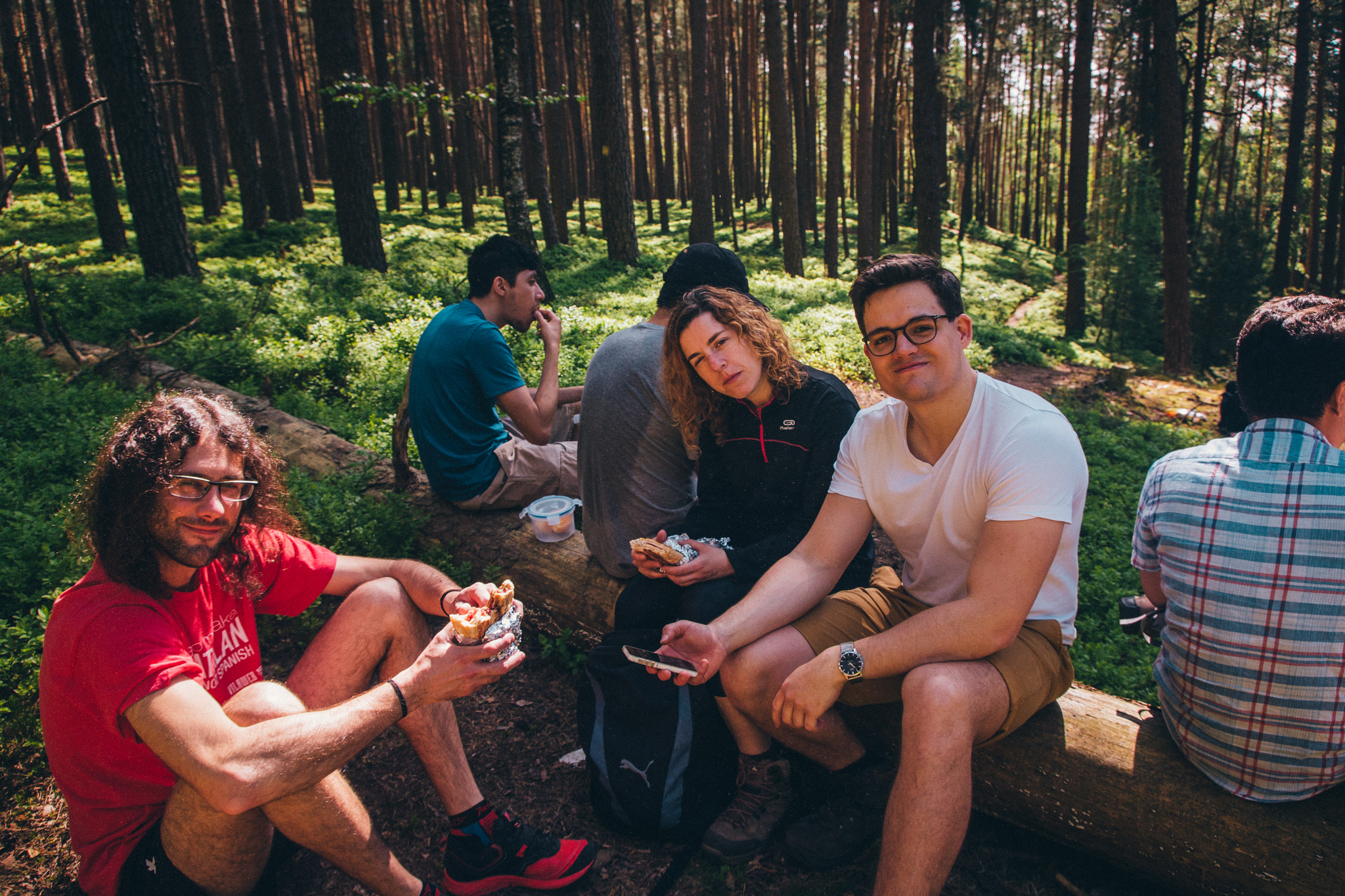2018-04-29 Blueberry Forest-6616