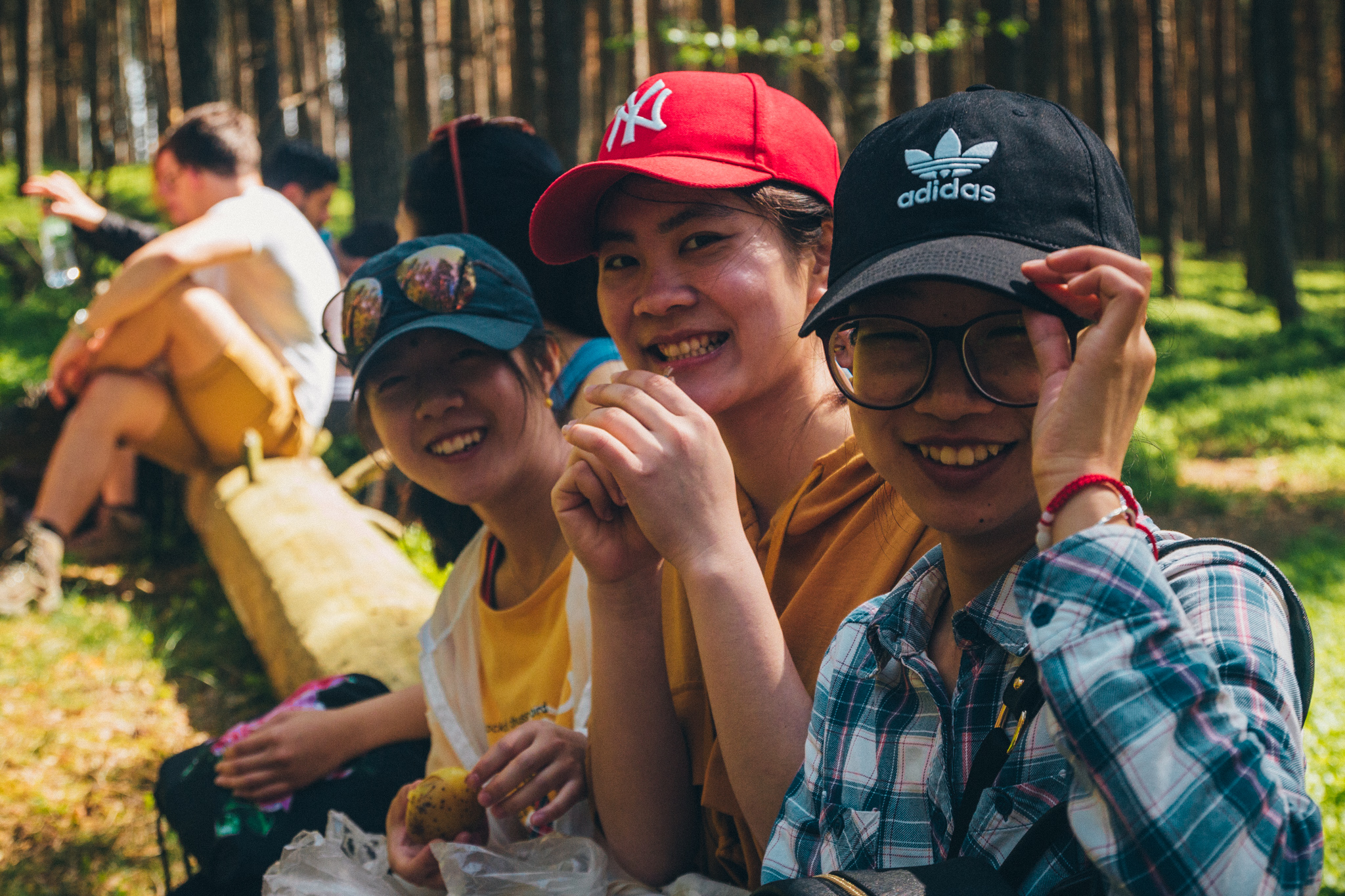 2018-04-29 Blueberry Forest-6642
