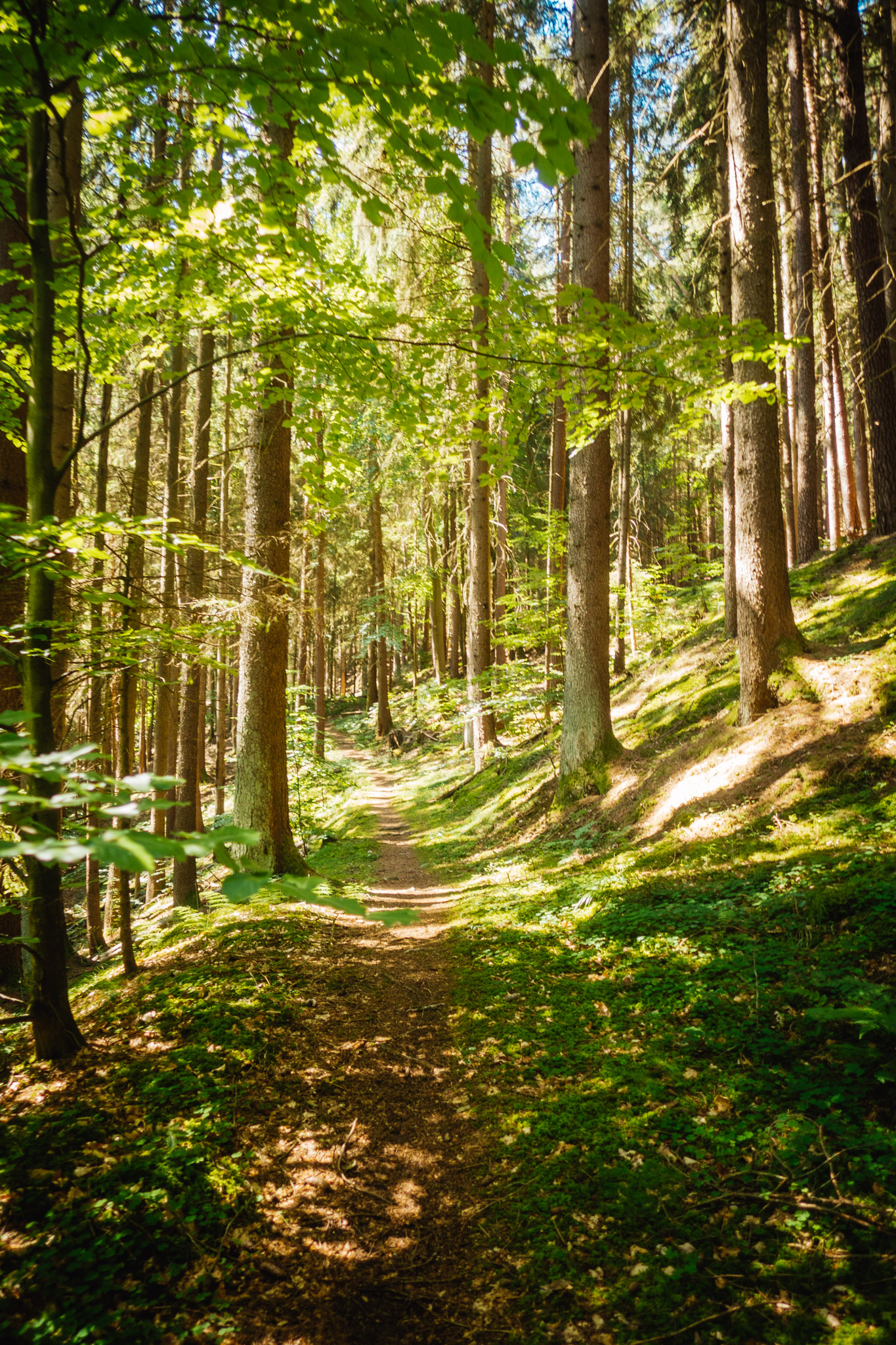 2023-06-25 Craimoos Weiher-0061