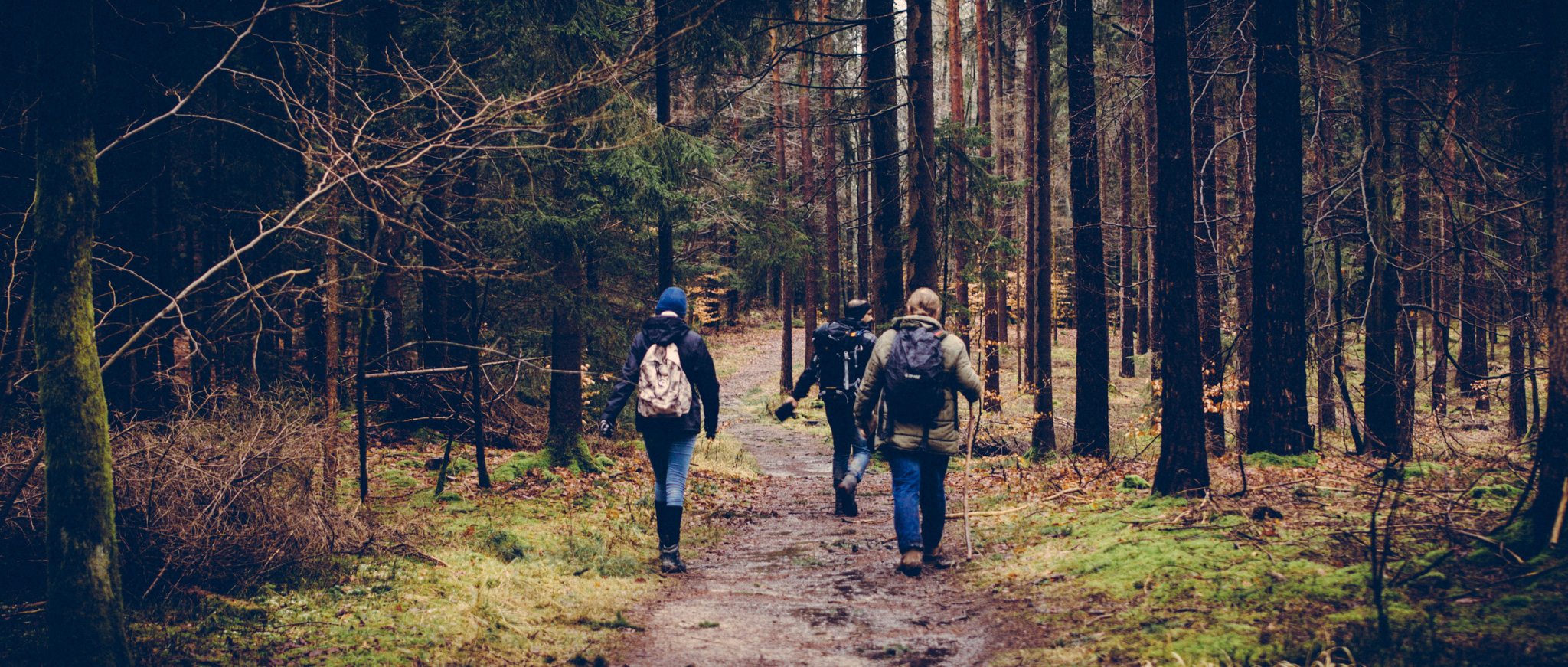 Pottenstein-hike-3337