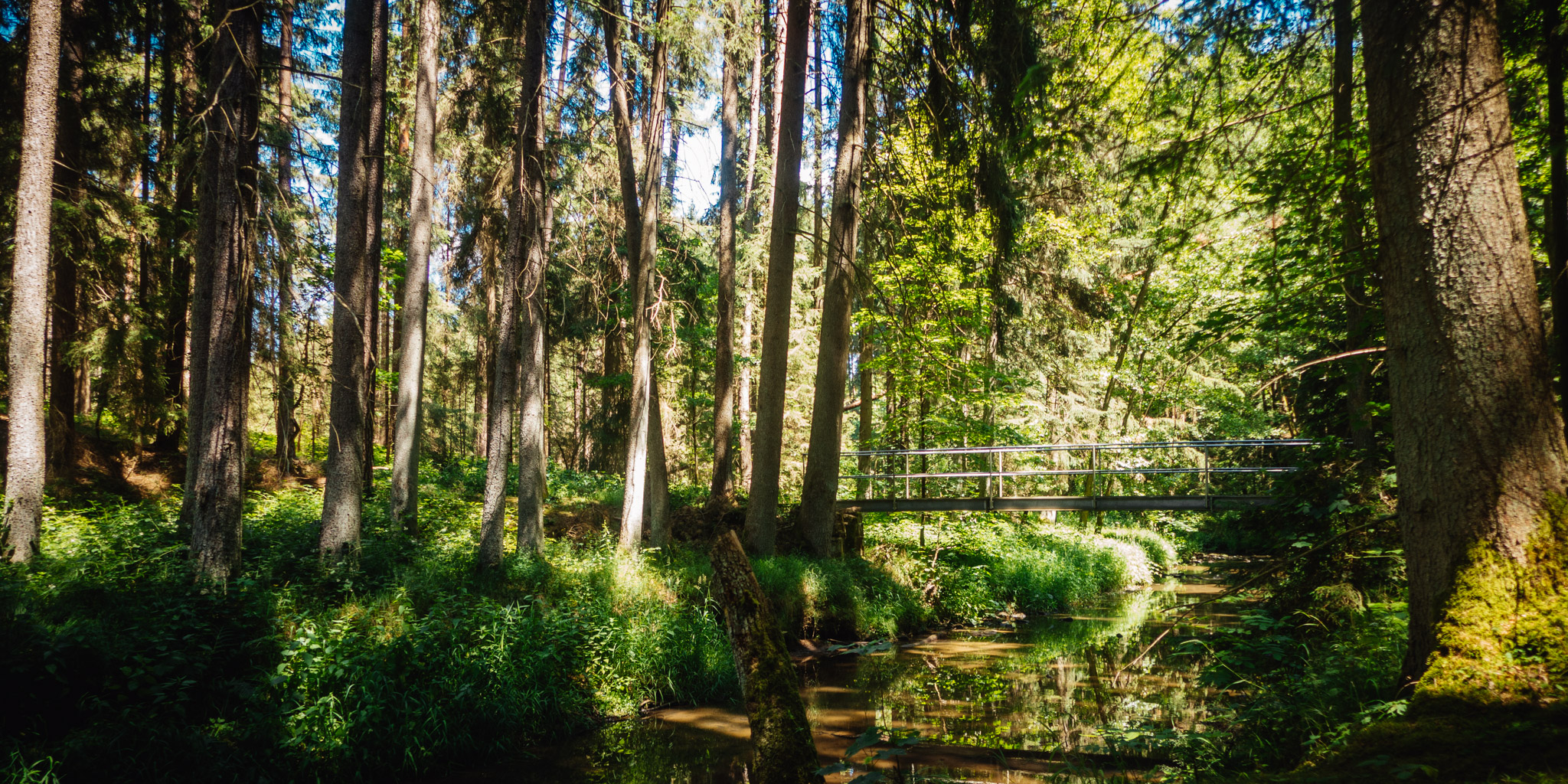2023-06-25 Craimoos Weiher-0115