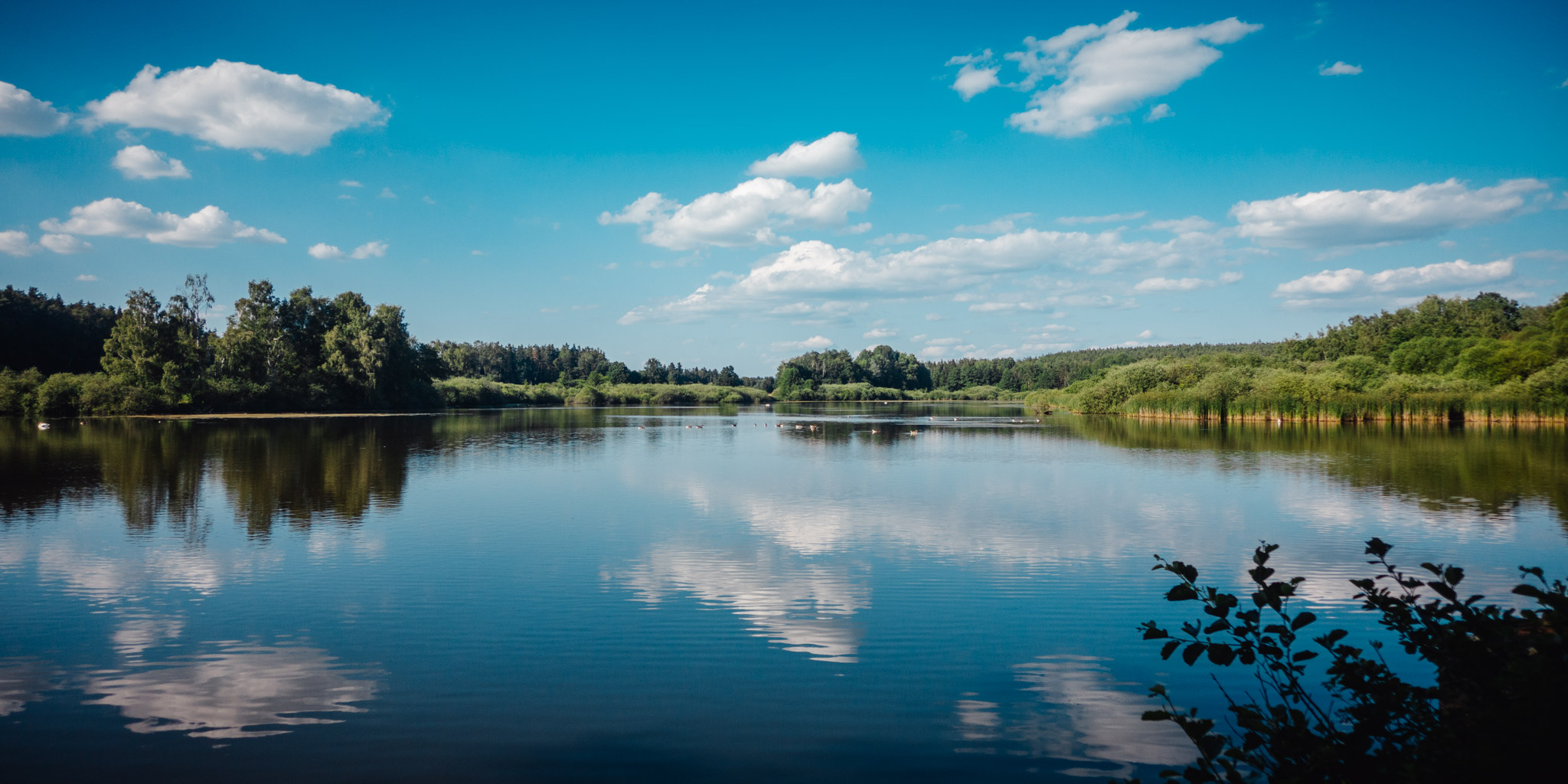 2023-06-25 Craimoos Weiher-0143