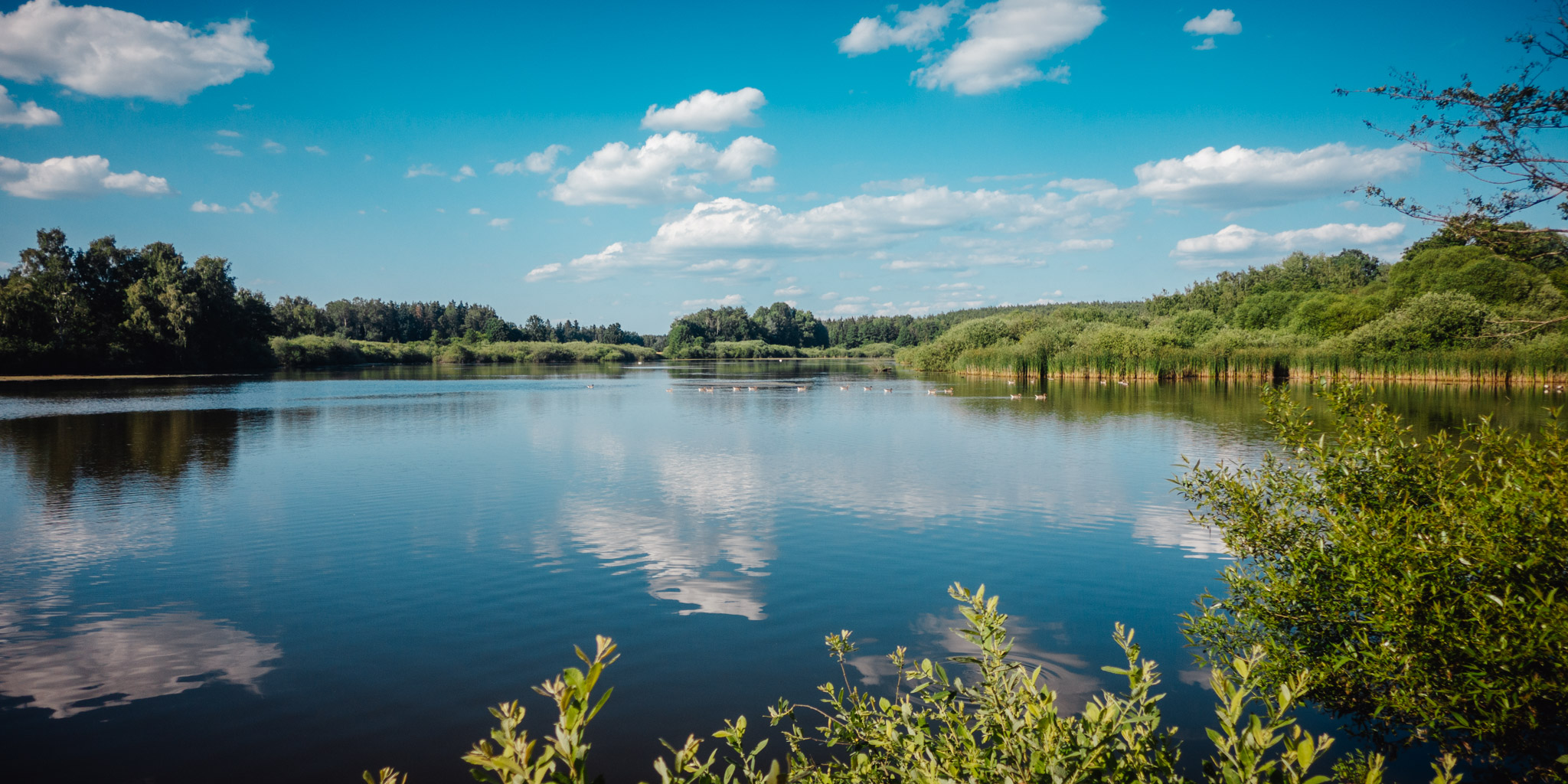 2023-06-25 Craimoos Weiher-0149