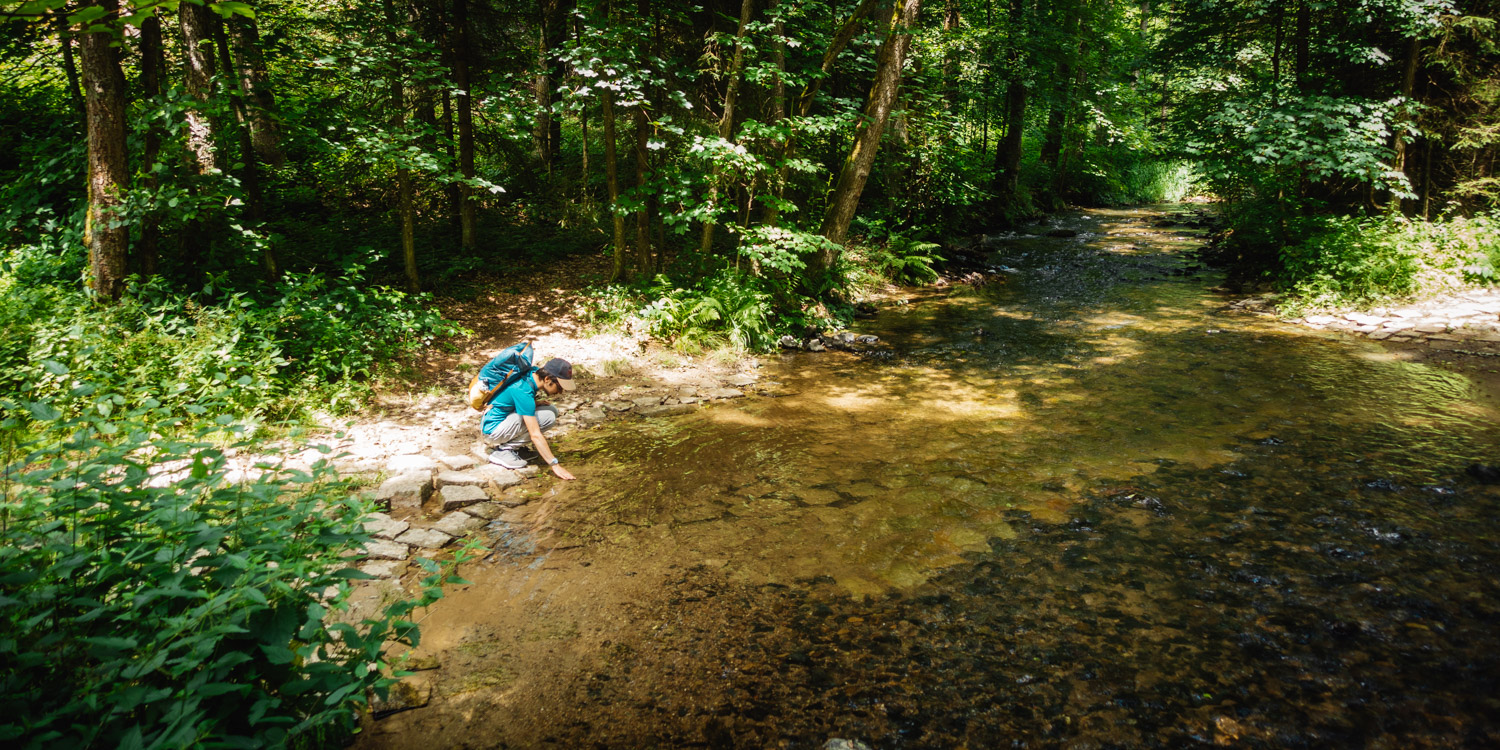 2023-07-01 Blackberry Forest Swim-0052
