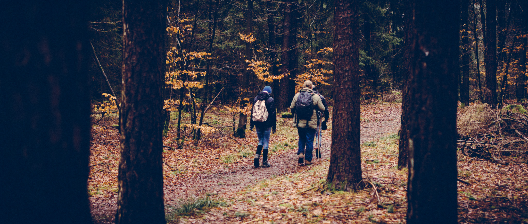 Pottenstein-hike-3339