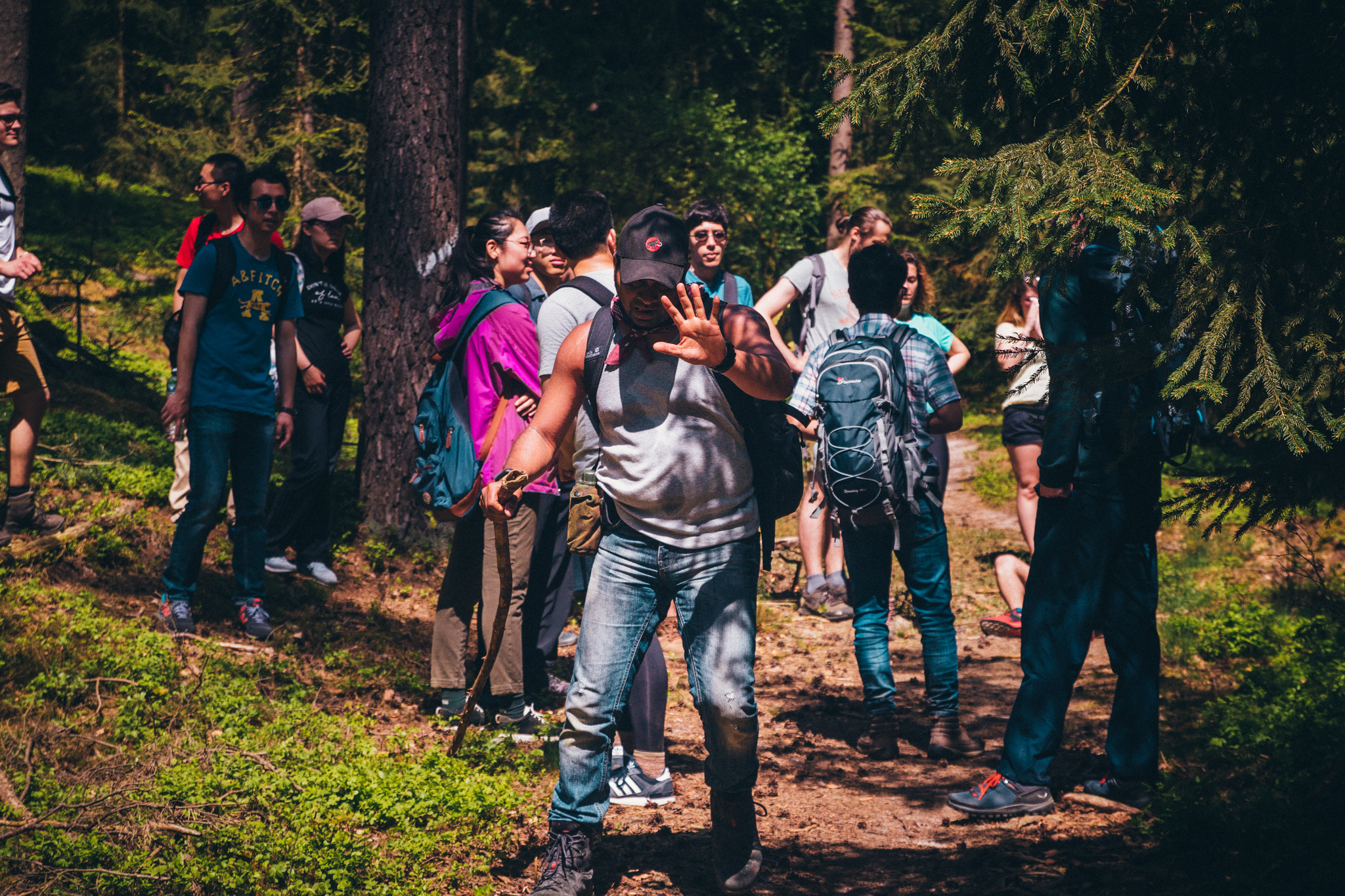 2018-04-29 Blueberry Forest-6728