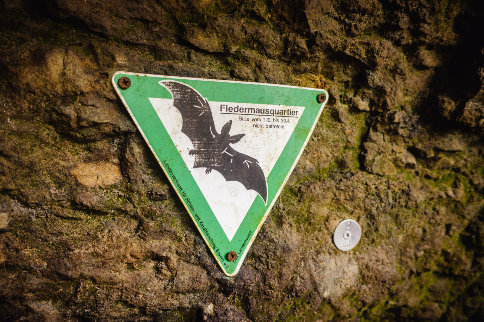 2023-10-07 Pegnitz Hike + Camping 21 of 76(0081)