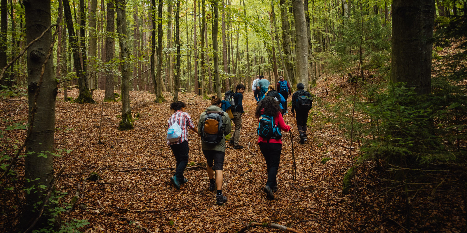 2023-10-07 Pegnitz Hike + Camping 47 of 76(0199)
