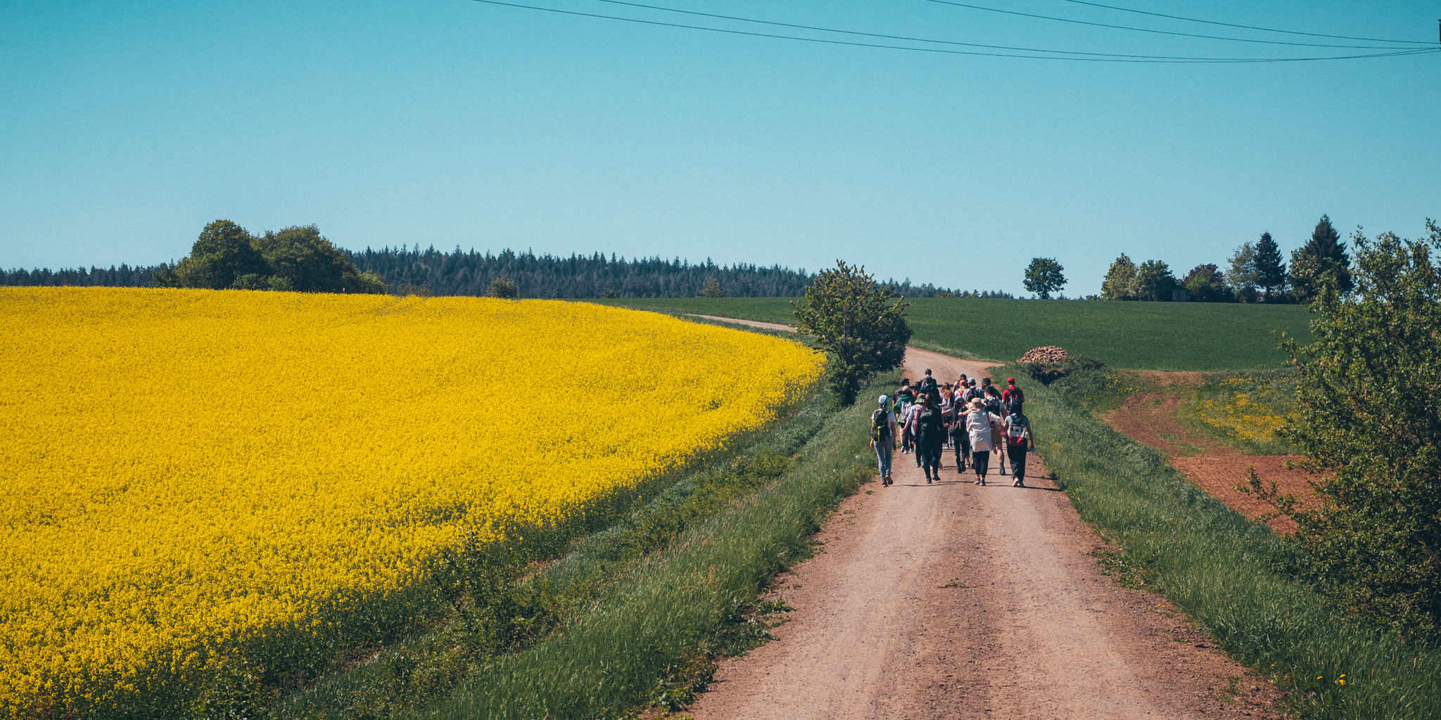 Creußen to Pegnitz