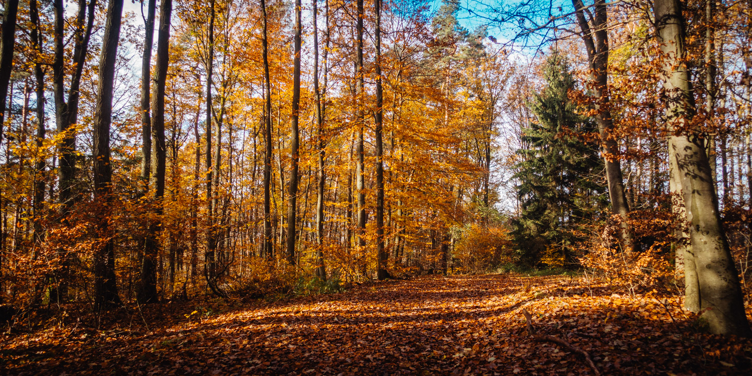 2023-11-18 Kulmbach 20k-0195
