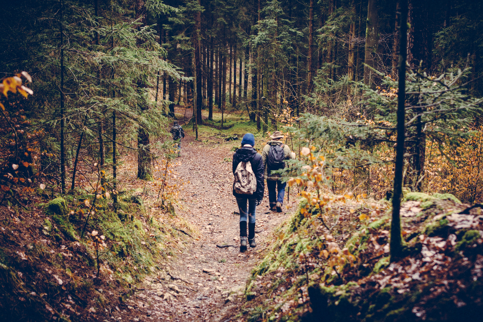 Pottenstein-hike-3343