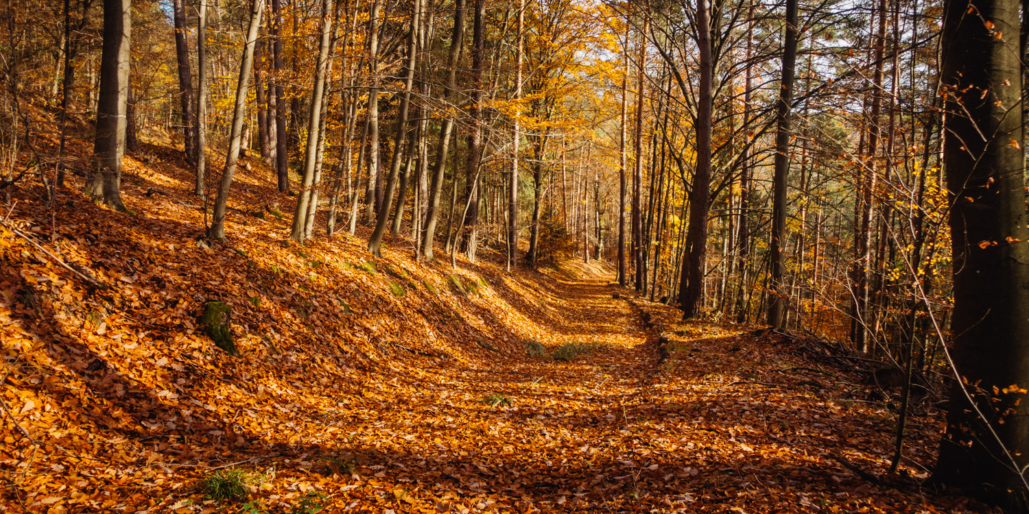 2023-11-18 Kulmbach 20k-0286