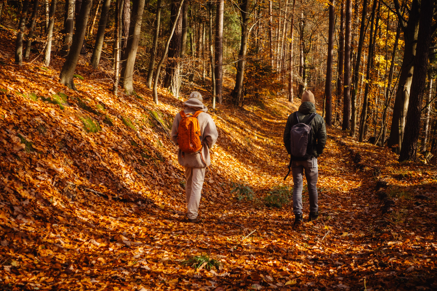 2023-11-18 Kulmbach 20k-0291