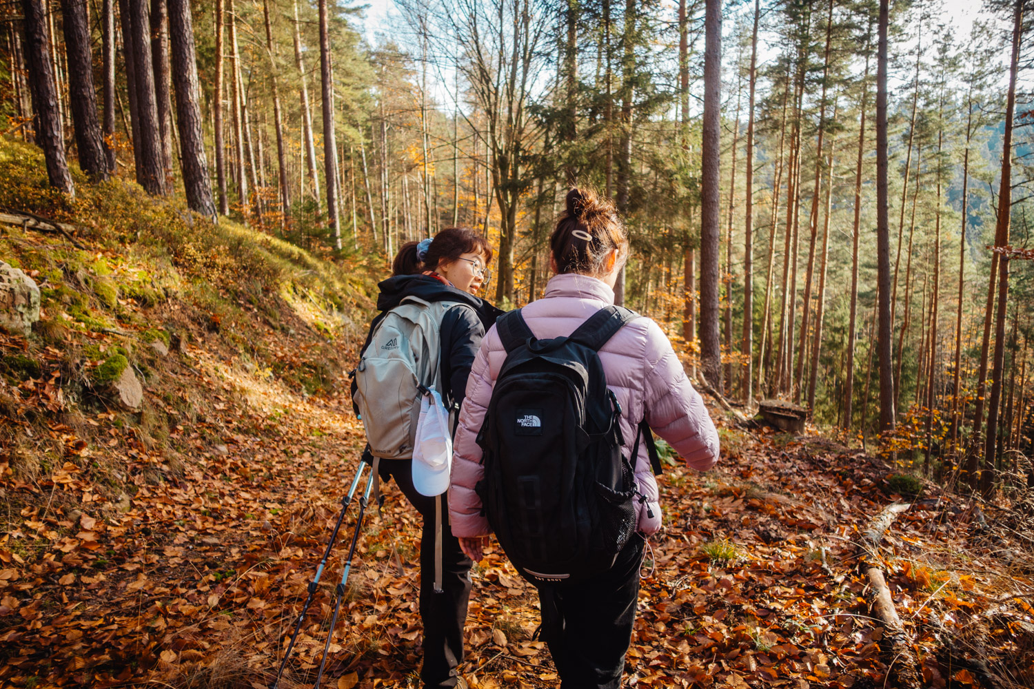 2023-11-18 Kulmbach 20k-0308