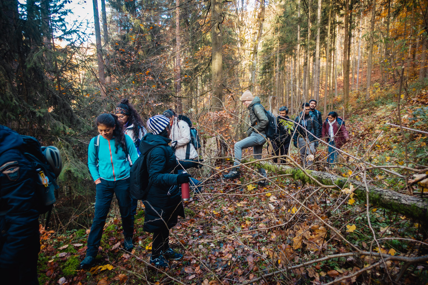 2023-11-18 Kulmbach 20k-0321
