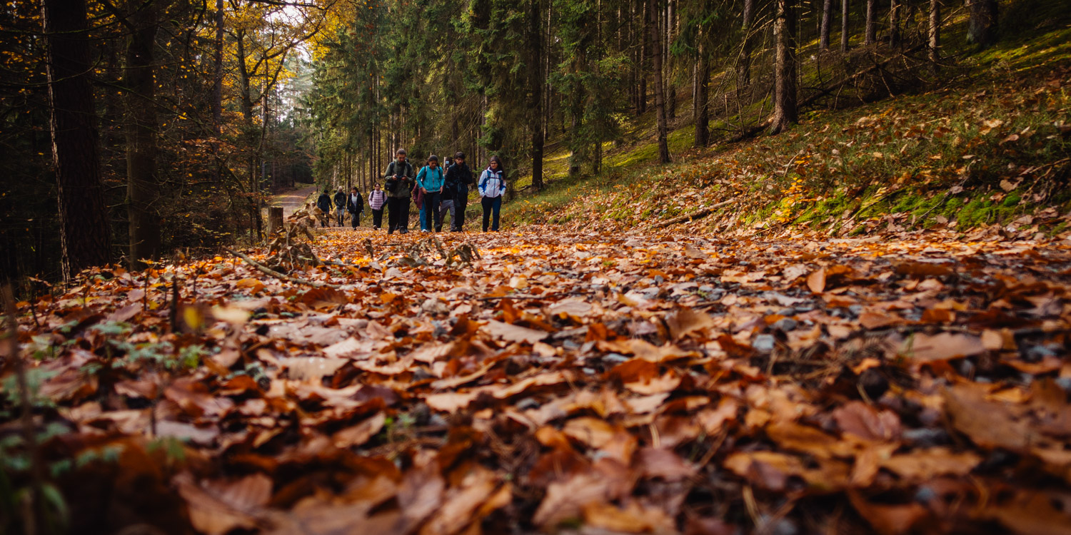 2023-11-18 Kulmbach 20k-0346