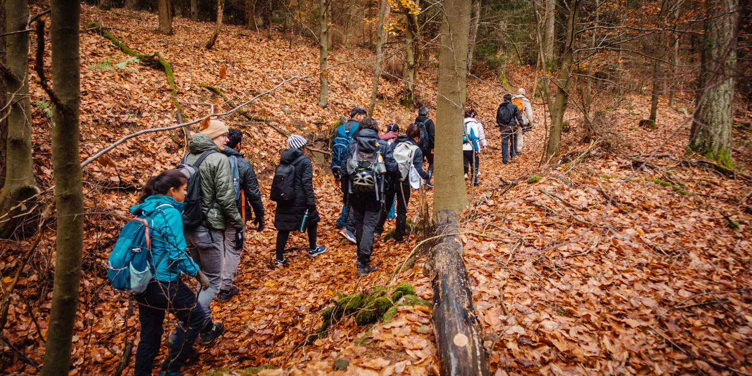 2023-11-18 Kulmbach 20k-0472