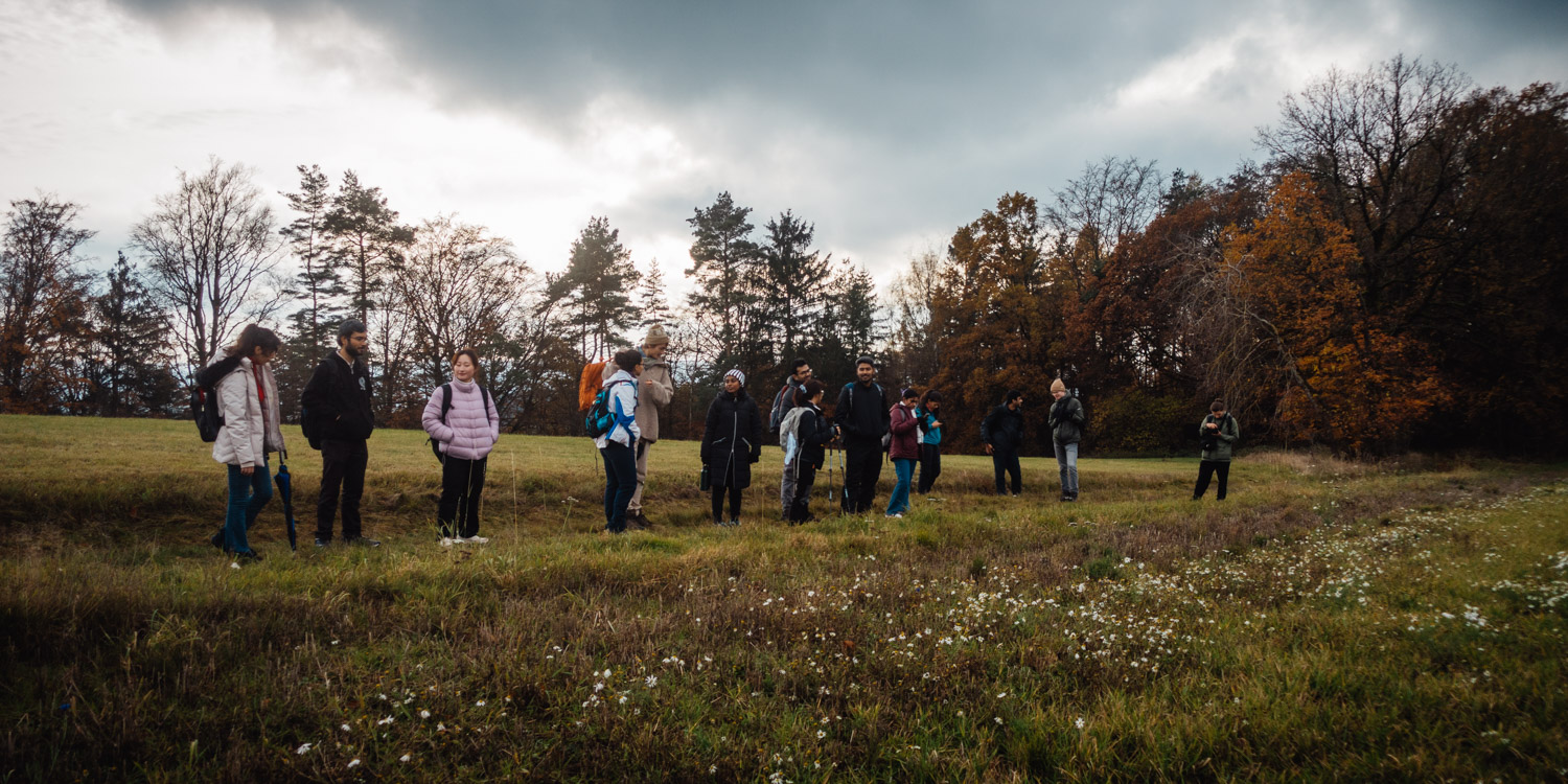2023-11-18 Kulmbach 20k-0511