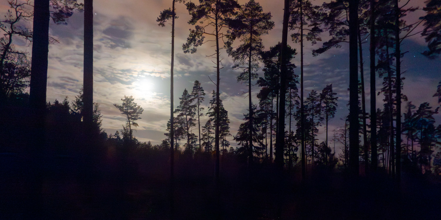 2023-11-19 Night Hike-1