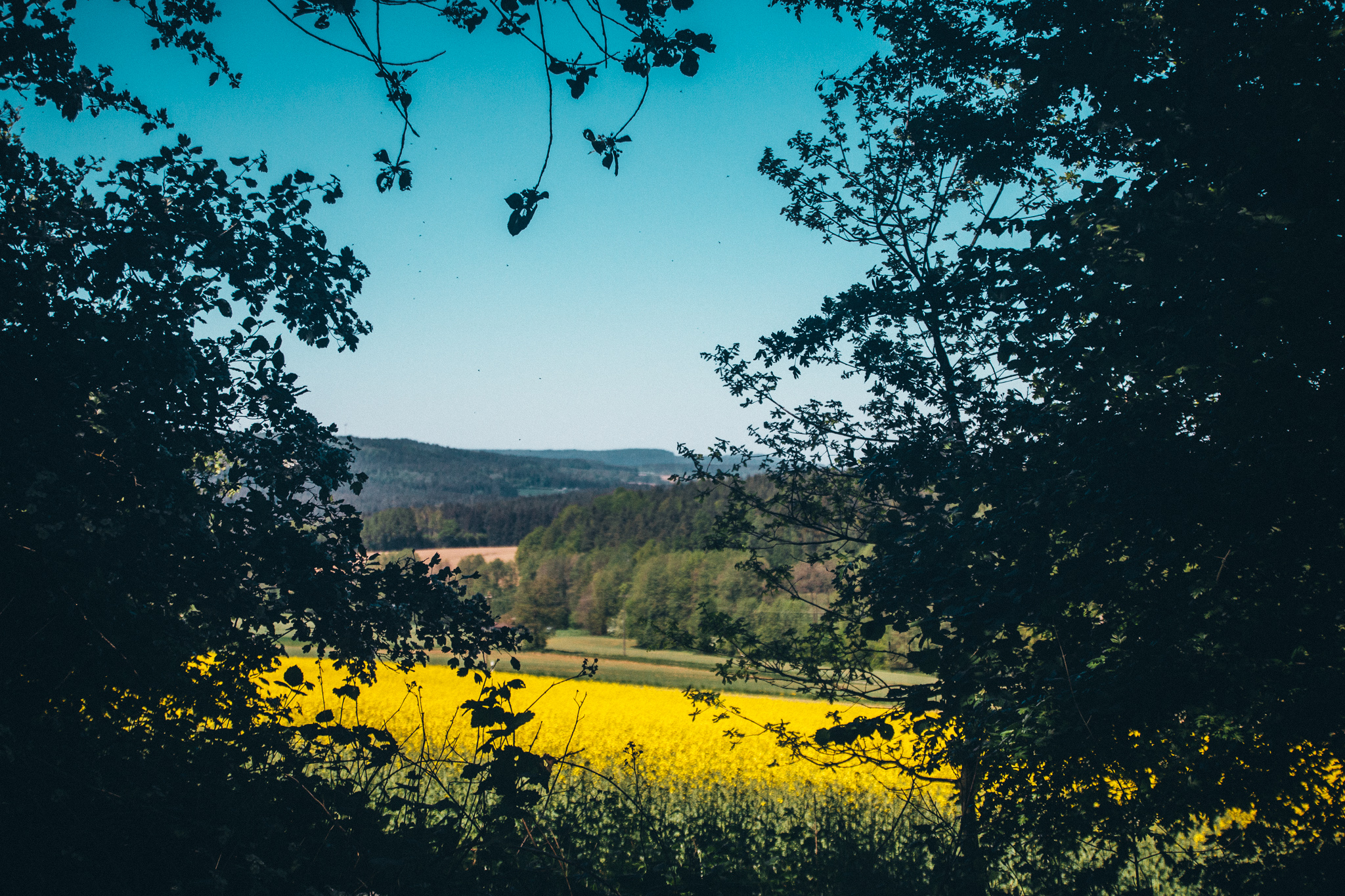 2018-05-06 Creußen to Pegnitz-7032
