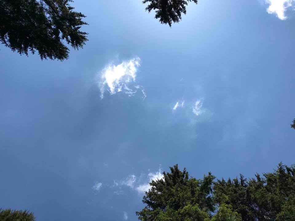 2018-05-21 Weidenberg 1