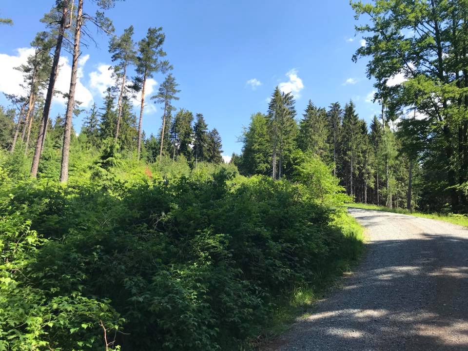 2018-05-21 Weidenberg 15