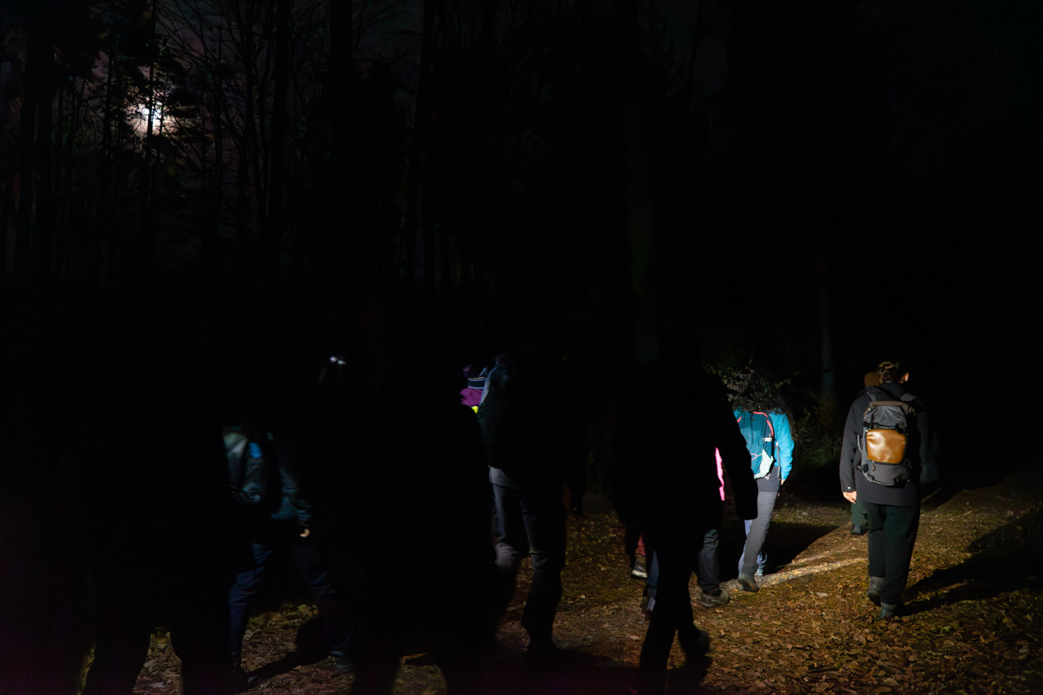 2024-02-24 Full Moon Buchstein-06416