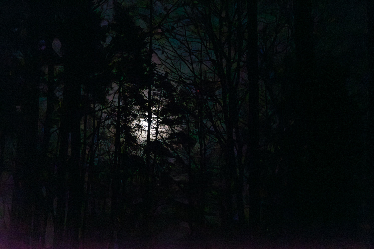 2024-02-24 Full Moon Buchstein-06418