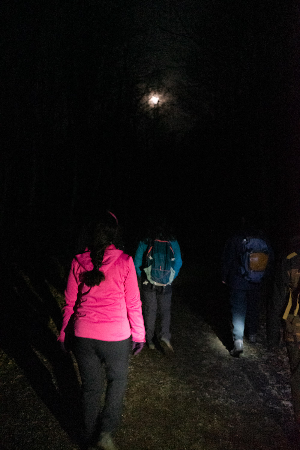 2024-02-24 Full Moon Buchstein-06423
