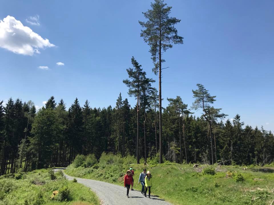 2018-05-21 Weidenberg 8