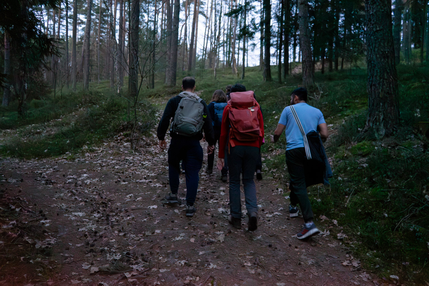 2024-03-20- Bayreuth Night Hike-07559
