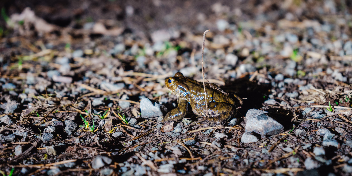 2024-03-20- Bayreuth Night Hike-07605