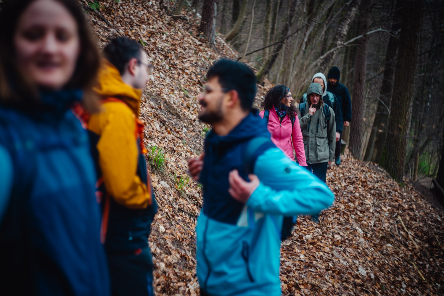 2024-03-24 - Weidenberg Forest-07666