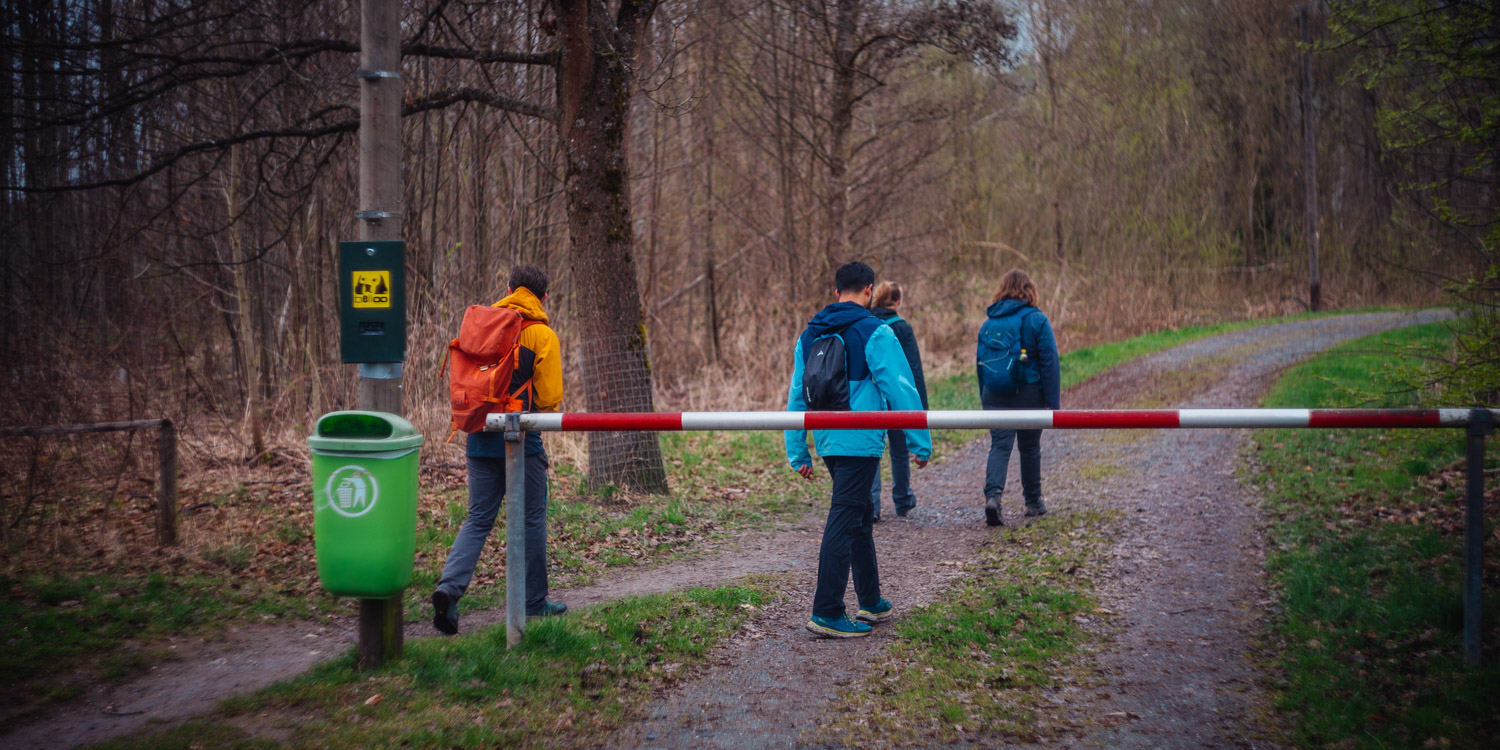 2024-03-24 - Weidenberg Forest-07680