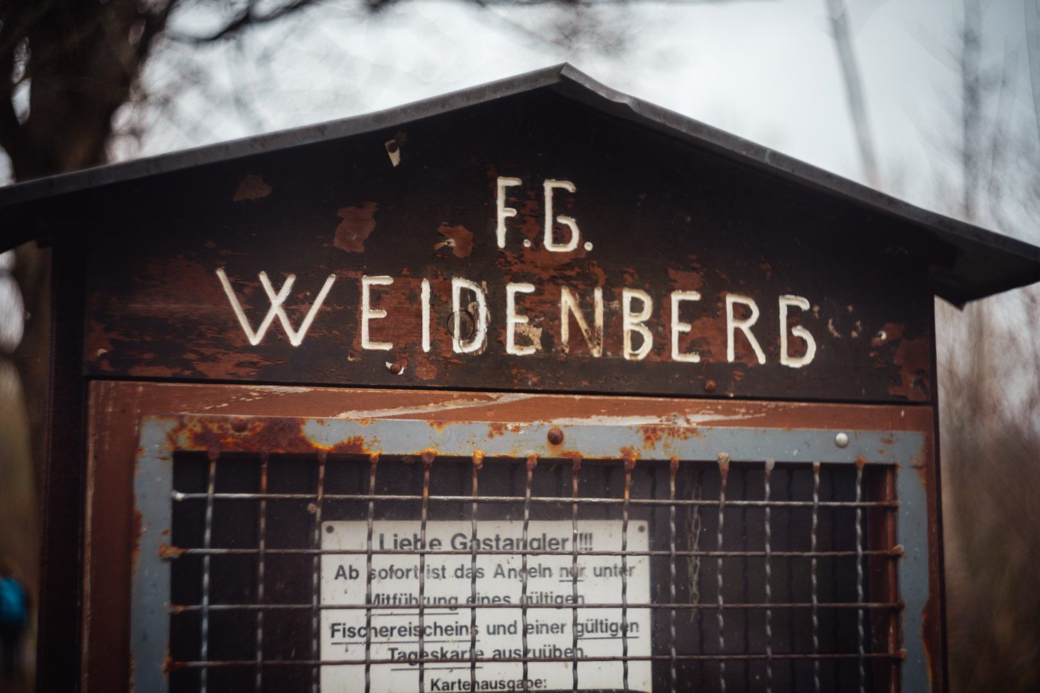 2024-03-24 - Weidenberg Forest-07681
