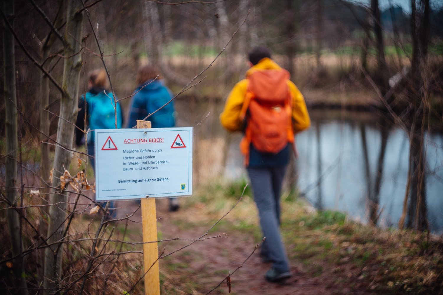 2024-03-24 - Weidenberg Forest-07683