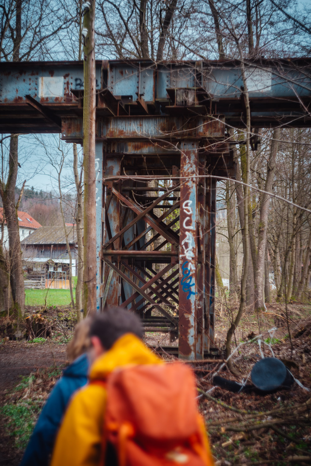 2024-03-24 - Weidenberg Forest-07684