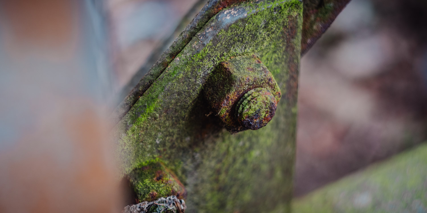2024-03-24 - Weidenberg Forest-07701