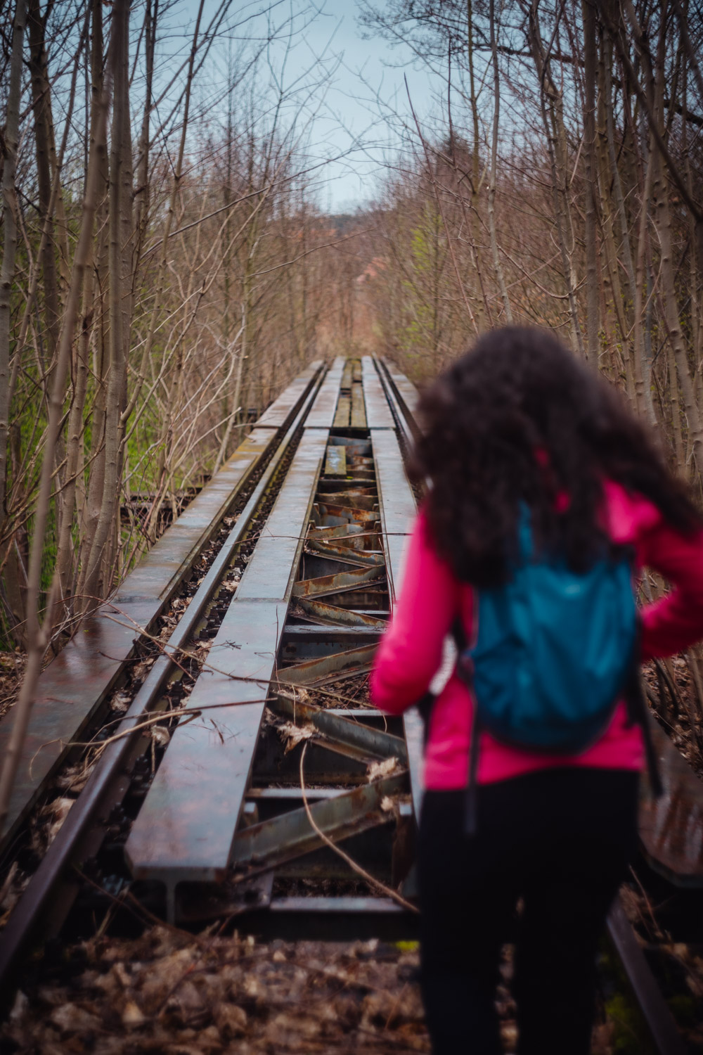 2024-03-24 - Weidenberg Forest-07708