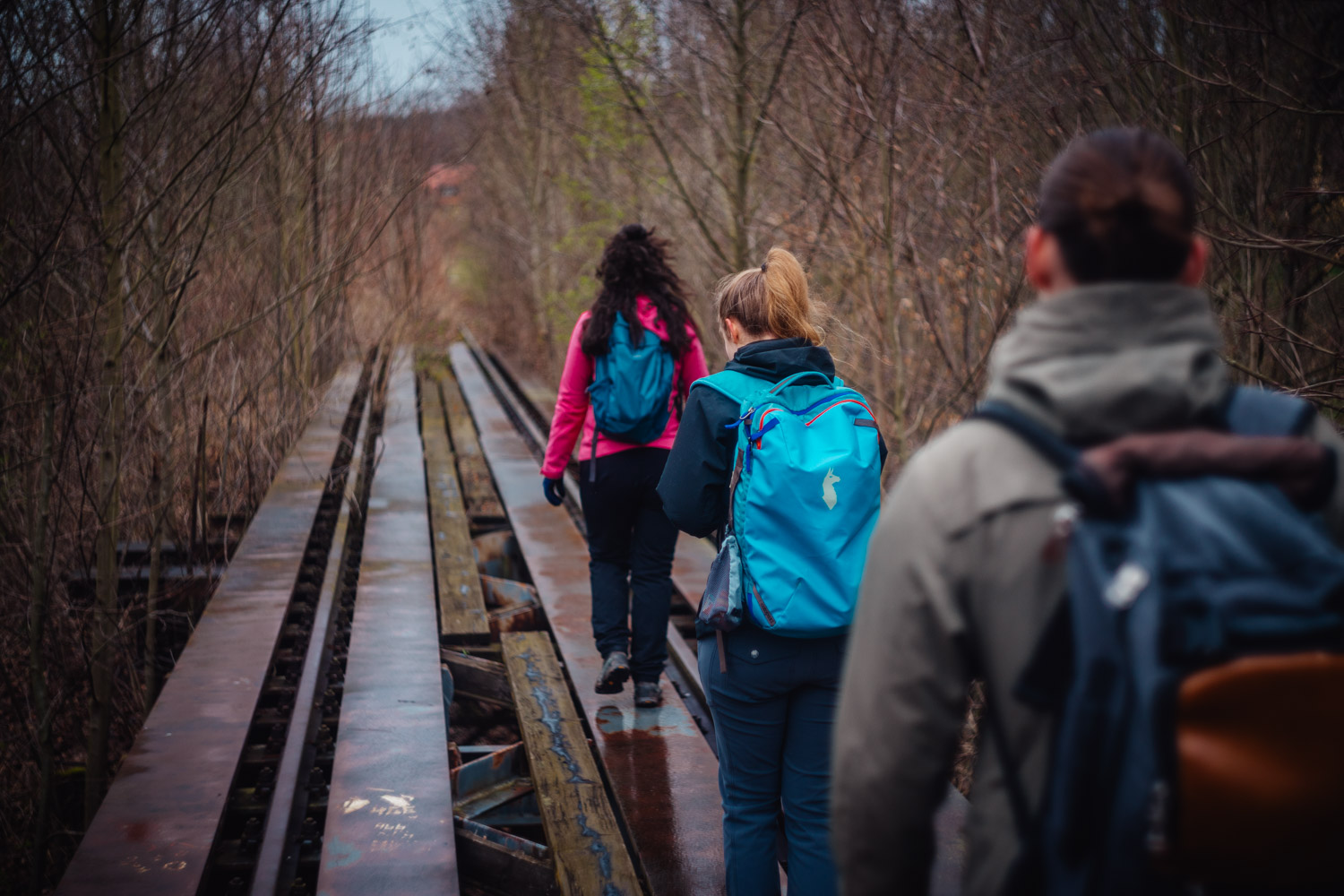 2024-03-24 - Weidenberg Forest-07716