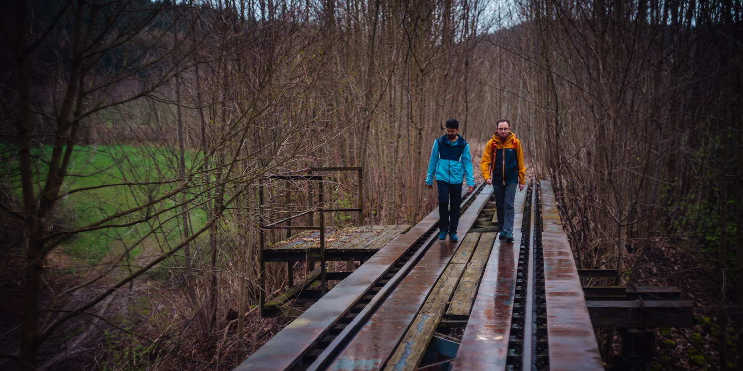2024-03-24 - Weidenberg Forest-07721