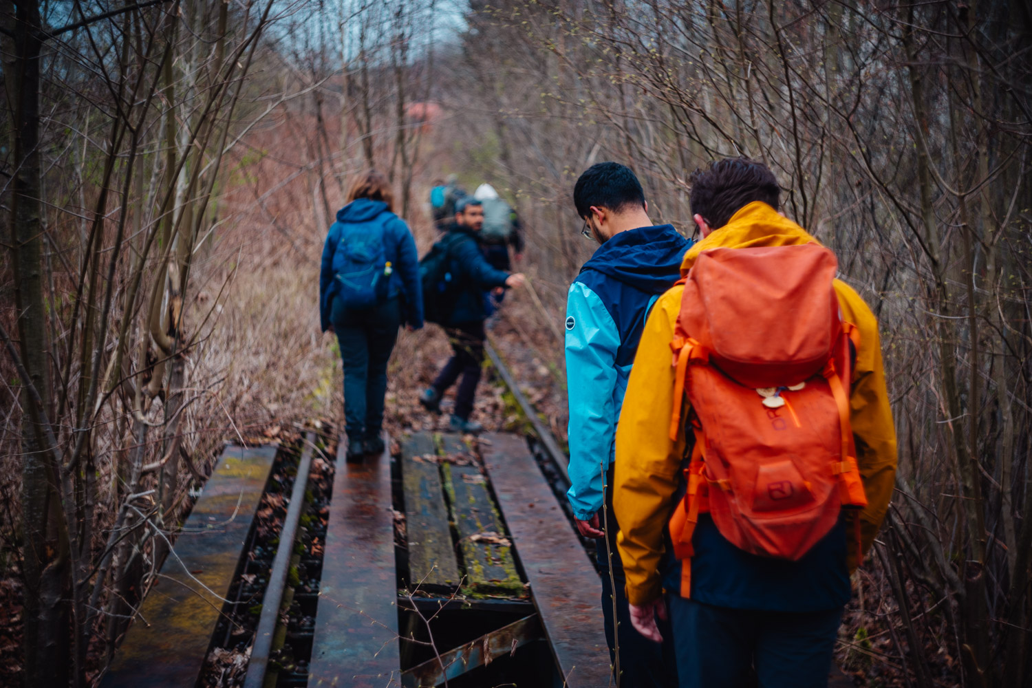 2024-03-24 - Weidenberg Forest-07731