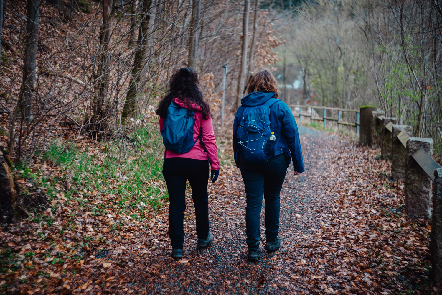 2024-03-24 - Weidenberg Forest-07734