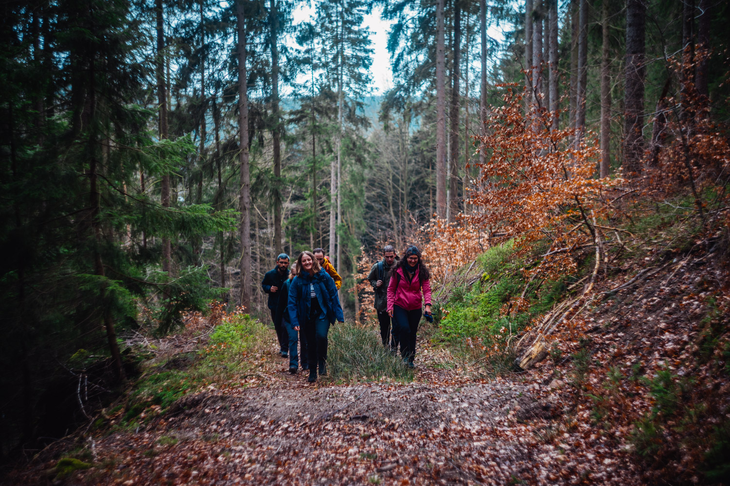 2024-03-24 - Weidenberg Forest-07747